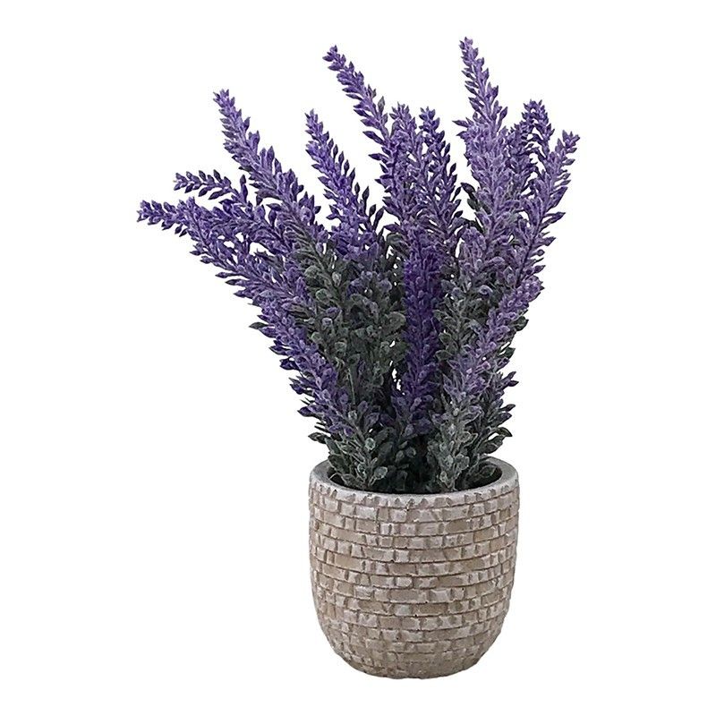 Ghiveci cu lavanda 2003h