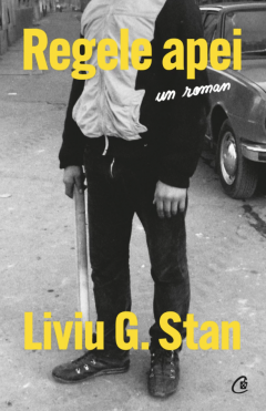 Regele apei - Liviu G. Stan