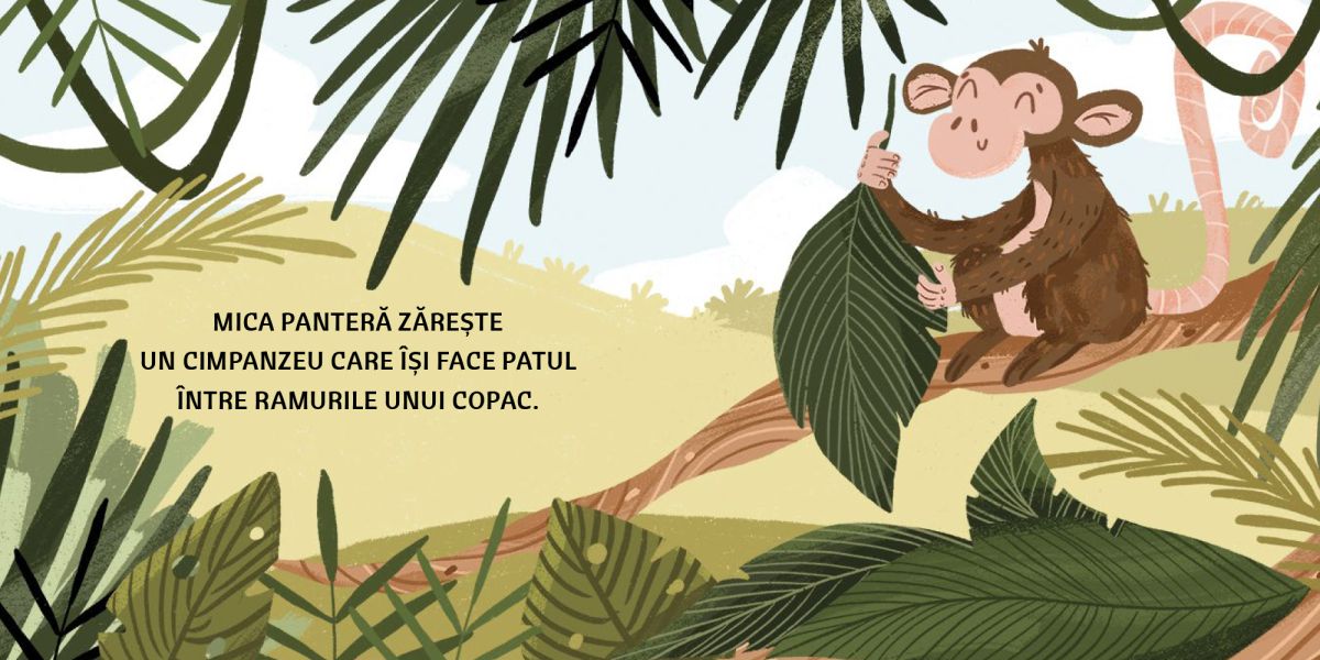 Jungla - Sassi