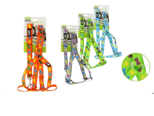 Set lesa + ham animale 2.5 060922