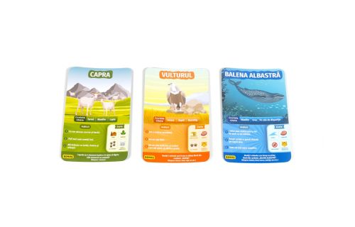 Joc ghid de recunoastere al animalelor in limba rom 6066198