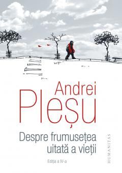 Despre frumusetea uitata a vietii - Andrei Plesu