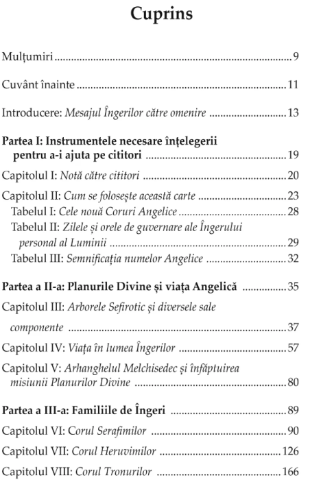 Biblia ingerilor - Joane Flansberry