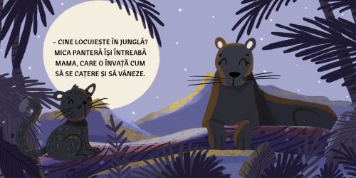 Jungla - Sassi
